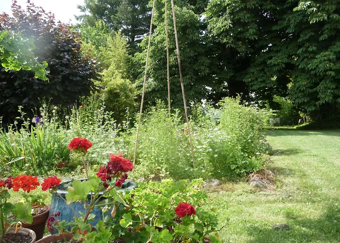 Rendez-Vous Au Jardin