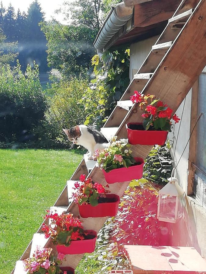 Rendez-vous Au Jardin Notre-Dame-de-l'Osier